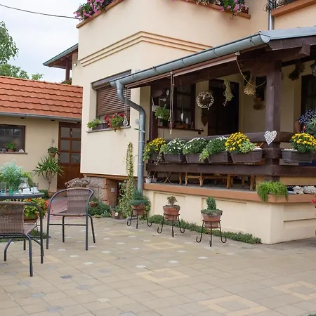 Seosko Turisticko Domacinstvo Kajsija Appartamento Čačak