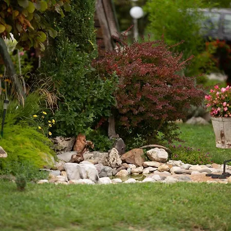 Seosko Turisticko Domacinstvo Kajsija * Čačak